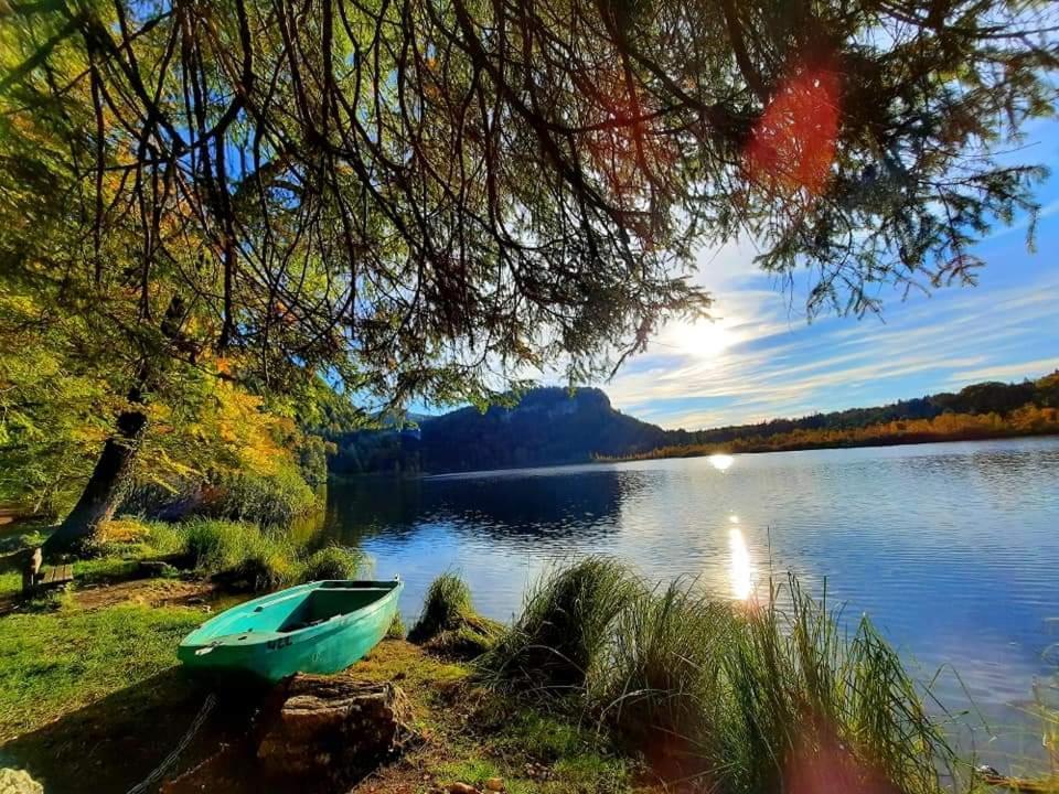 Le Jura En Toutes Saisons Piscine, Spa, Location Vtt, Balades 2Cv, Climatisation Bonlieu エクステリア 写真
